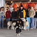 Bob Mcewen Photo 33