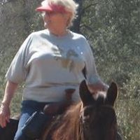 Susan Allison Photo 39