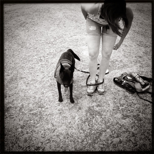 Amanda Spence Photo 11