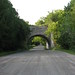 Dave Pickering Photo 7