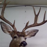 Alan Richards Photo 38