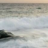Sonia Colon Photo 15
