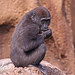 Glenda Wells Photo 38