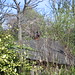 Tom Hancock Photo 38