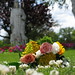 Wayne Erickson Photo 35