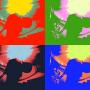 Raymond Becker Photo 27