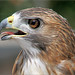 Don Simms Photo 12
