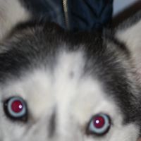 Kathy Schuler Photo 4