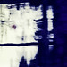 Ben Lang Photo 13