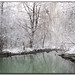 Lisa Winters Photo 9