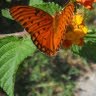 Mark Polk Photo 27