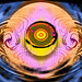 Douglas Ackerman Photo 15