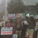 Debbie Toth Photo 11