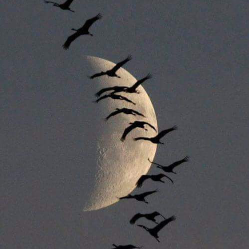 Aly Ahmed Photo 9