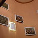 Vu Le Photo 21