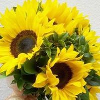 Trinh My Photo 6