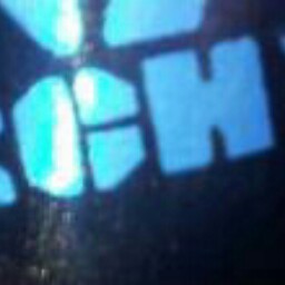 Dina Ramirez Photo 17