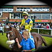 Paul Hannigan Photo 18