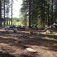 Melissa Macdougall Photo 8