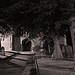 Margaret Wheeler Photo 7