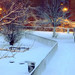 Dawn Collier Photo 30