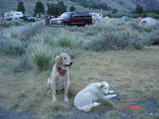Kimberly Engle Photo 26