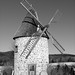 Marguerite Mills Photo 18