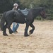 Karen French Photo 16