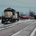 Carol Hines Photo 16