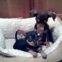 Debra Kennedy Photo 18
