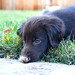 Arleen Brown Photo 4