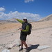 Dave Pickering Photo 8