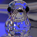 Crystal Seals Photo 12