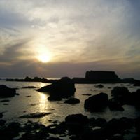 Teresa Porterfield Photo 7