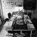 Deborah Schaaf Photo 19