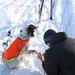 David Hund Photo 11