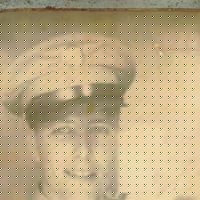 Joseph Pritchard Photo 34
