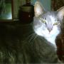 Nita Clark Photo 31