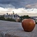 Donna Crocker Photo 26