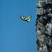 Russell Powell Photo 38