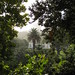 Philip Cook Photo 23