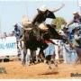 Mark Maynard Photo 11