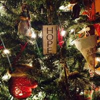 Lisa Hooper Photo 25