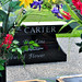 June Carter Photo 24