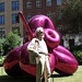James Koon Photo 15