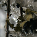 Keith Devries Photo 27