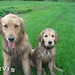 Jody Stevenson Photo 35