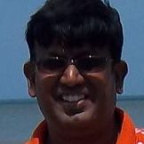 Parthasarathy Narayanan Photo 11