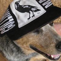 Allen Howes Photo 6