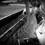 Kimberly Lawson Photo 17